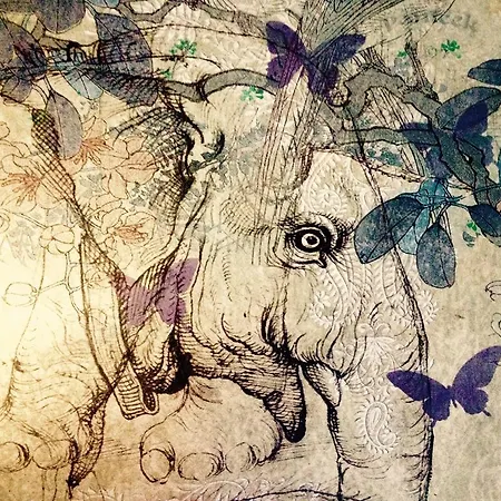 Penzion Albarea Candeleda