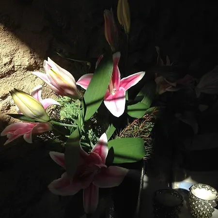 Albarea 坎德莱达