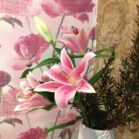 招待所 Albarea 坎德莱达