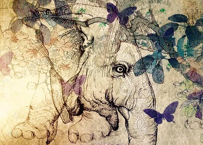 게스트하우스 Albarea 칸델레다