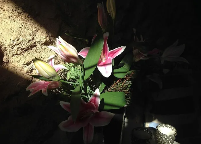 Albarea 칸델레다