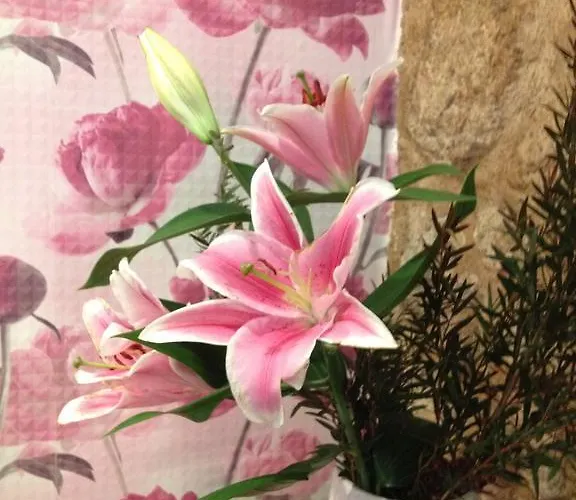 게스트하우스 Albarea 칸델레다