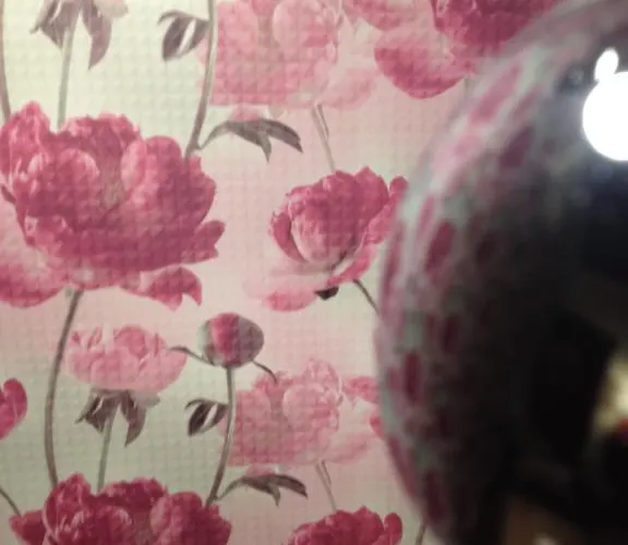 Albarea 게스트하우스 칸델레다